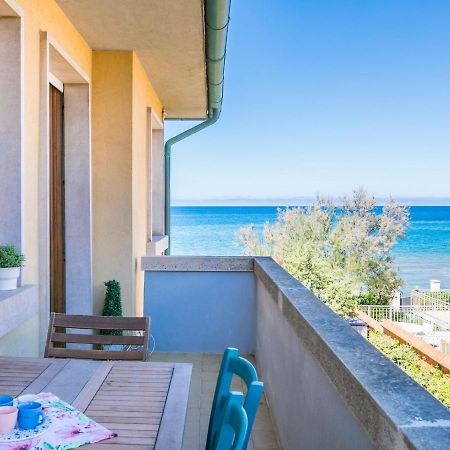 Apartment Marequi By Interhome San Vincenzo Eksteriør bilde